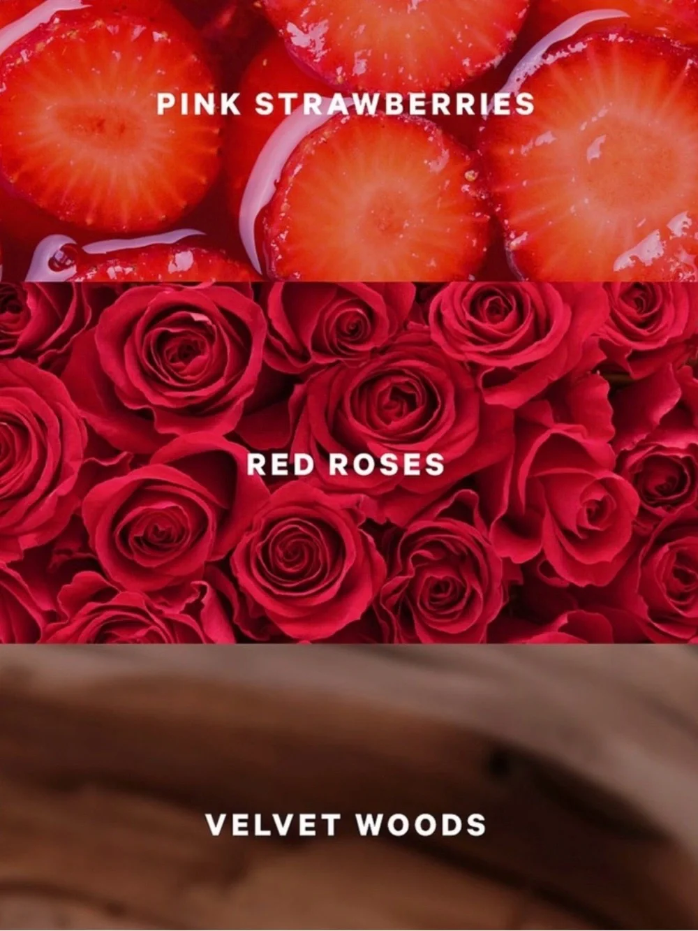Victoria's Secret Lovely Berry Rose